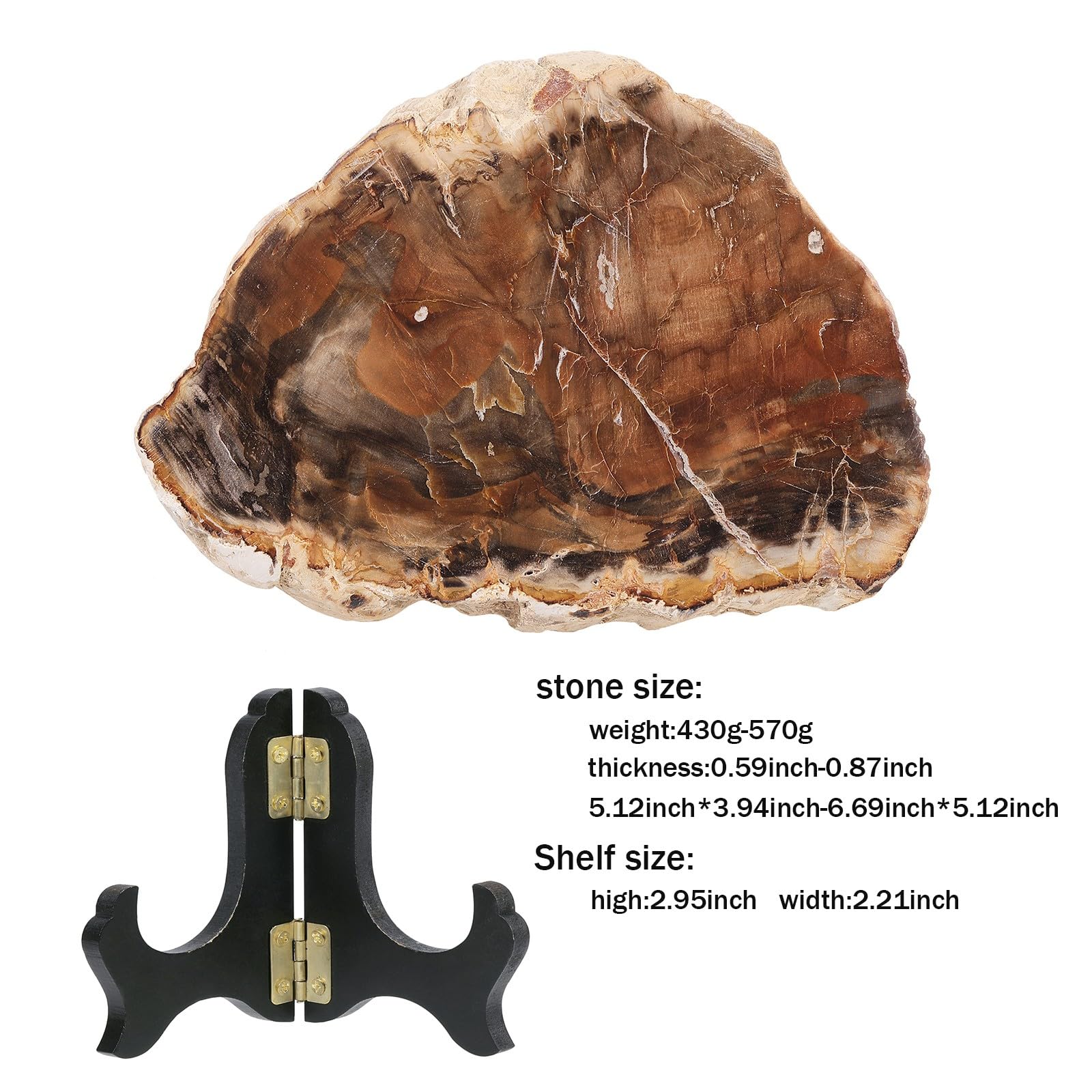 Amazon.com: moonsix Irregular Petrified Wood Slab with Wooden